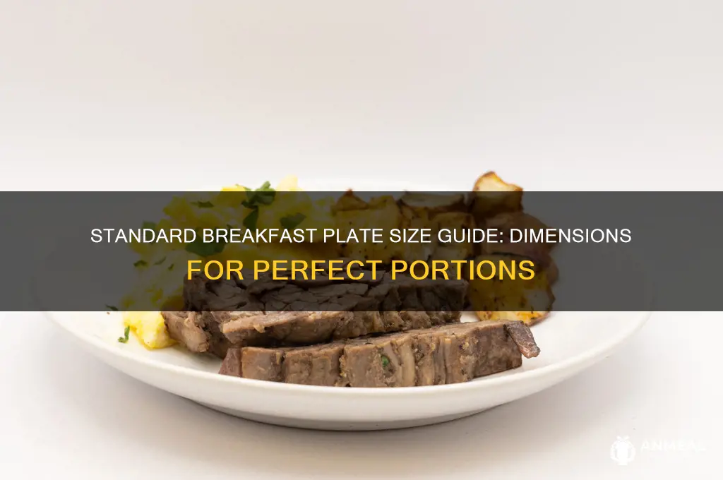 what is the size of a breakfast plate