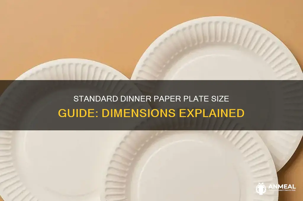 what is the size of a dinner paper plate