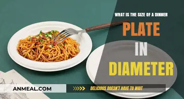 Standard Dinner Plate Diameter: Ideal Size for Perfect Portions