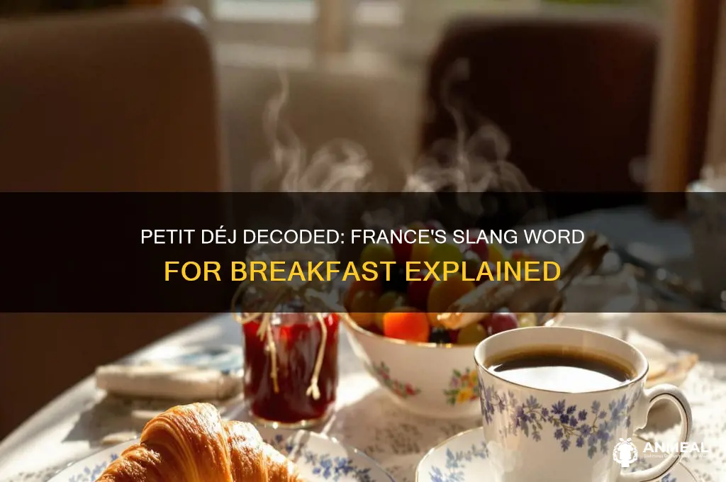 what is the slang word for breakfast in france