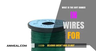 Understanding the Purpose of Soft Dinner in Wires: A Comprehensive Guide