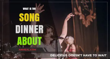 Unraveling the Meaning Behind the Lyrics of the Song Dinner