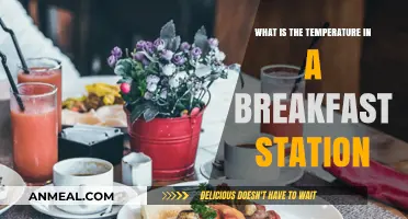 Exploring Breakfast Station Temperatures: Ideal Heat for Perfect Morning Meals