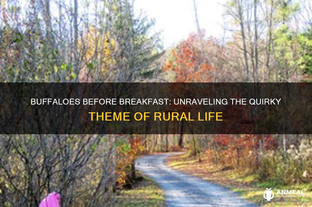 what is the theme of buffaloes before breakfast