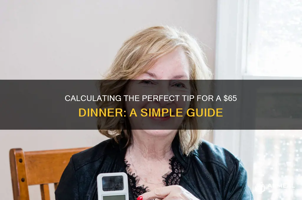 what is the tip for 65 dinner