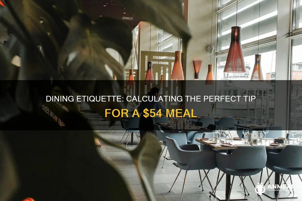 what is the tip for a 54 dinner
