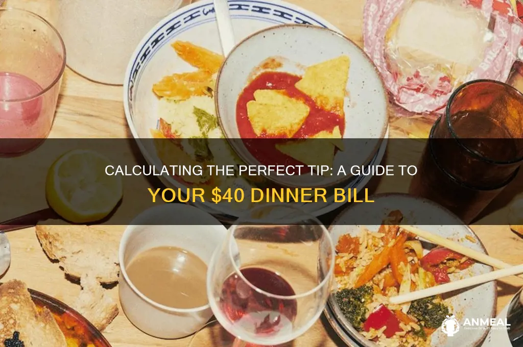 what is the tip on a 40 dinner ticket