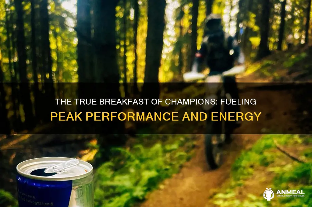 what is the true breakfast of champions