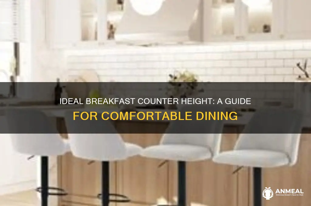 what is the typicla height of a breakfast counter