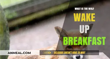 Wolf Wake Up Breakfast: Unlocking the Power of a Wild Morning Meal