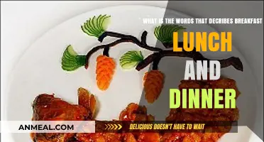 Meal Names Explained: Breakfast, Lunch, Dinner – Their Origins and Meanings