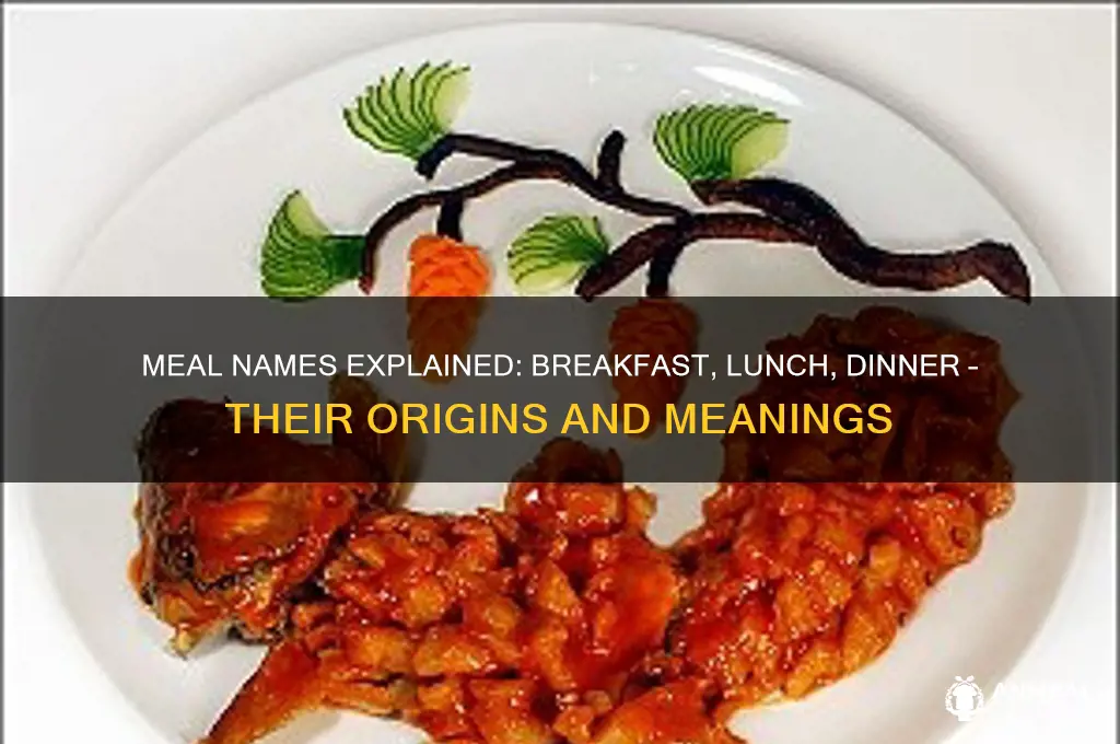 what is the words that decribes breakfast lunch and dinner