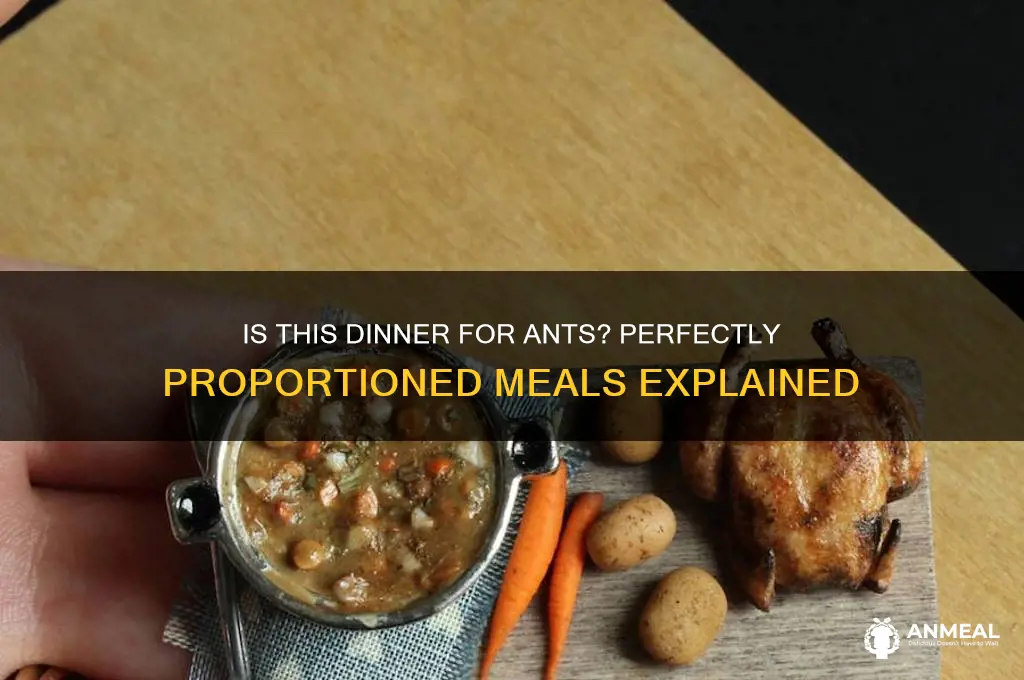 what is this dinner for ants