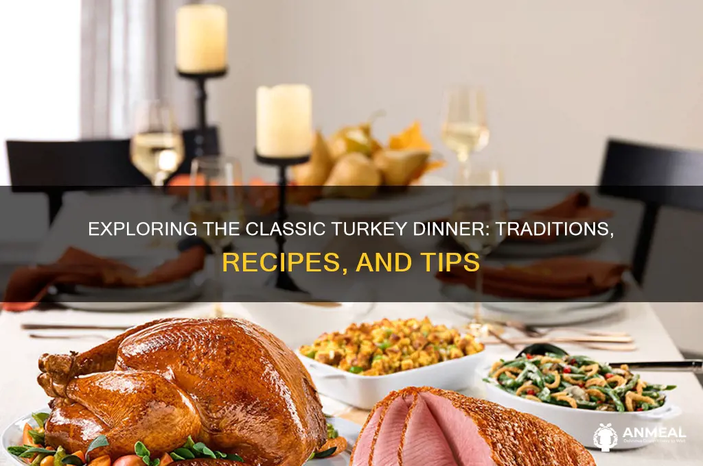 what is turkey dinner