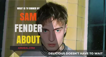 Unpacking Sam Fender's 'TV Dinner': Themes, Lyrics, and Meaning Explored