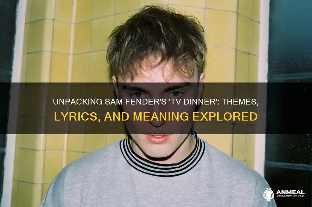 what is tv dinner by sam fender about