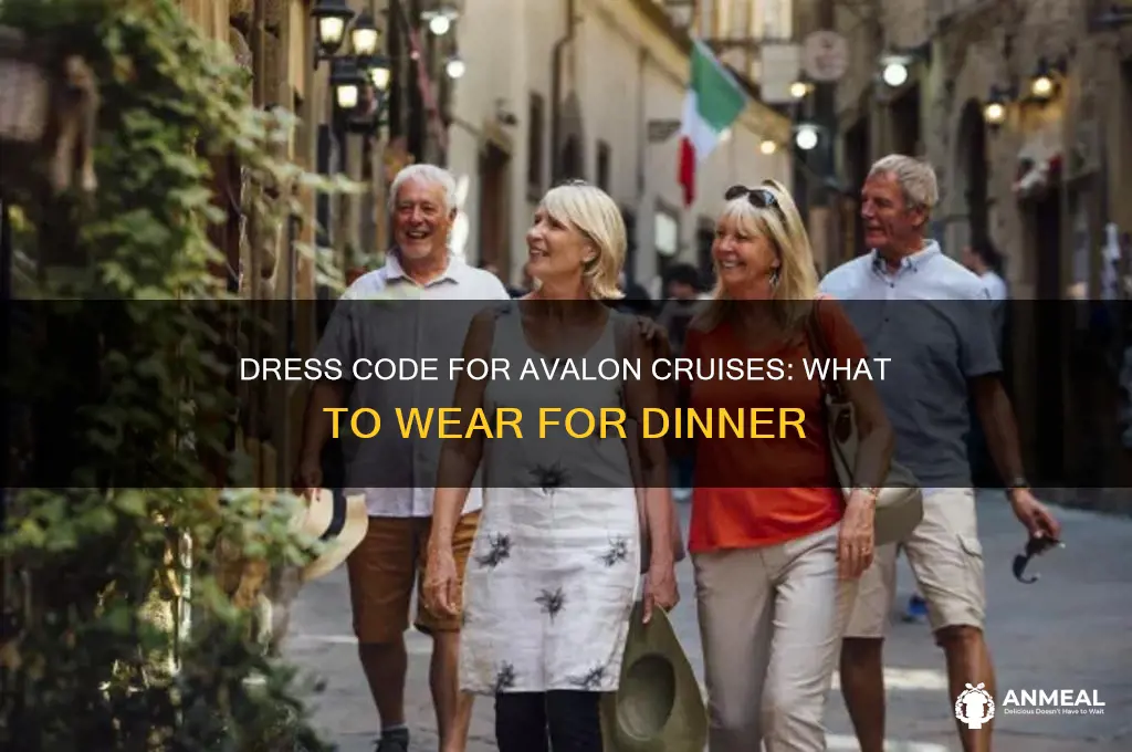 what is typical attire for dinner on avalon cruises