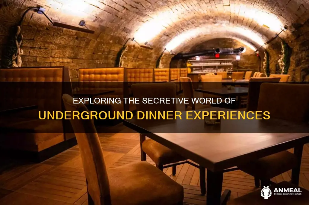 what is underground dinner