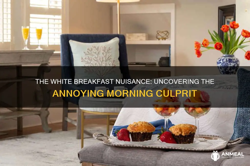 what is white and annoying at breakfast