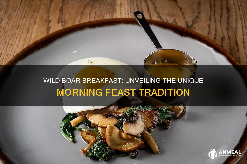 what is wild boar breakfast