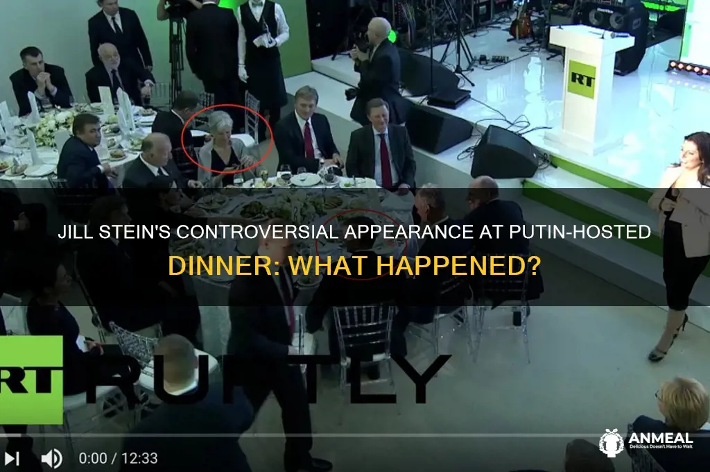 what jill stein at putin dinner