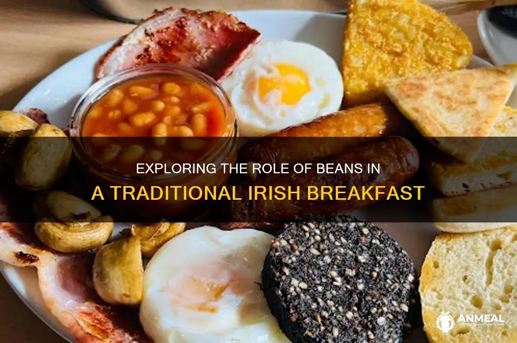 what kind of beans are in an irish breakfast