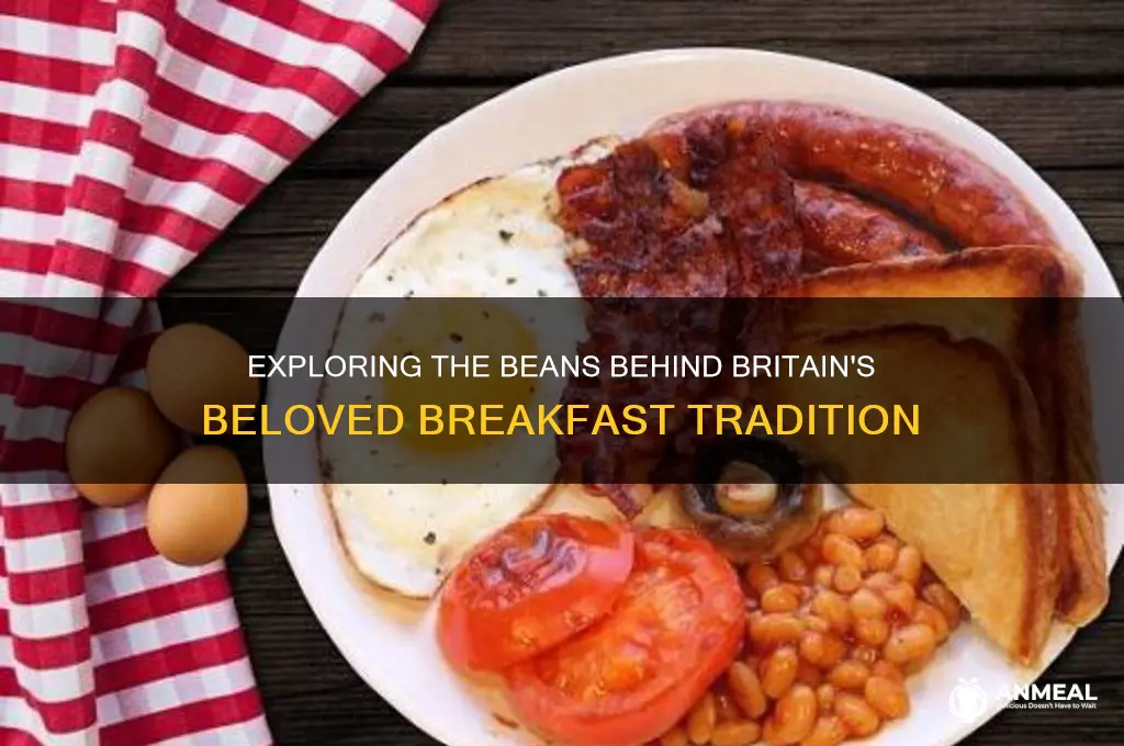 what kind of beans are used in british breakfast