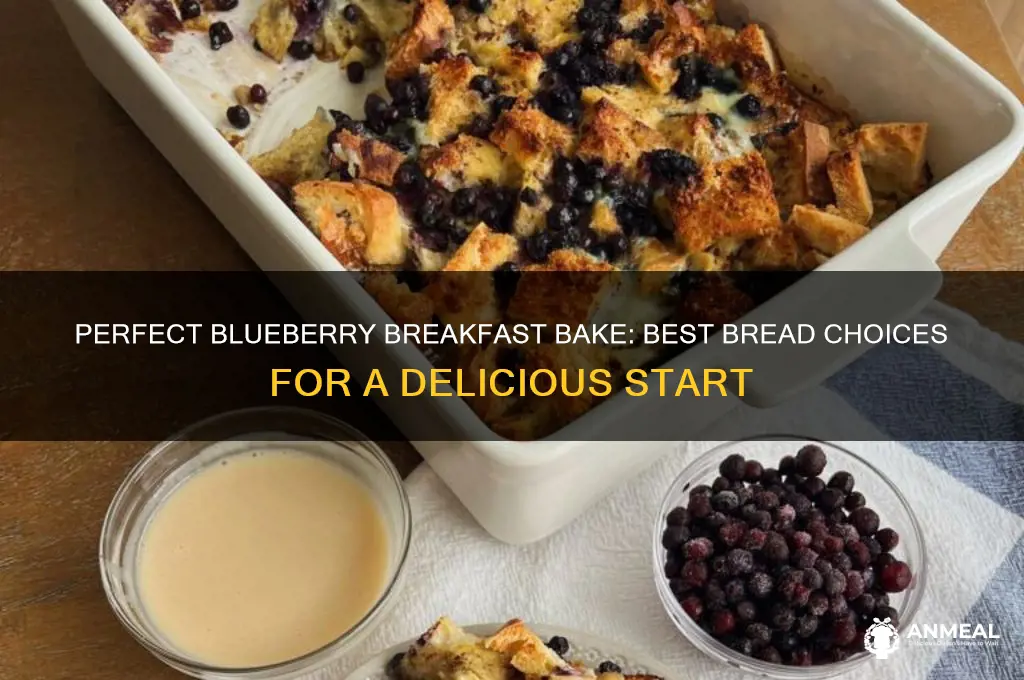 what kind of bread for blueberry breakfast bake