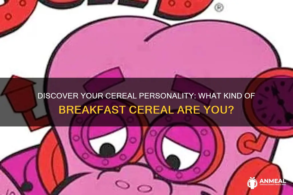 what kind of breakfast cereal am i