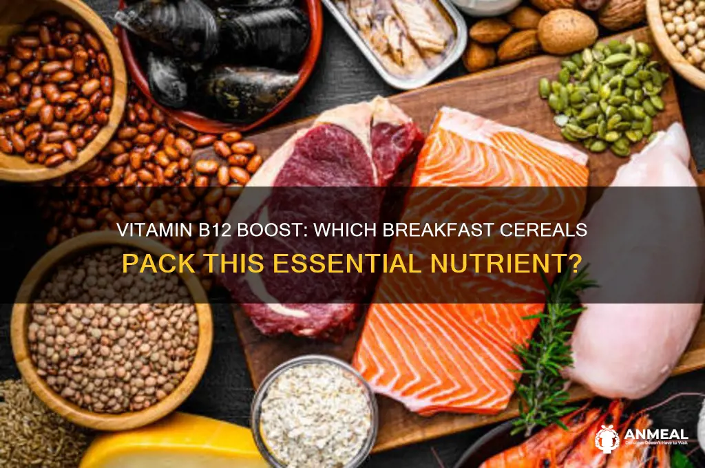 what kind of breakfast cereal contains b12
