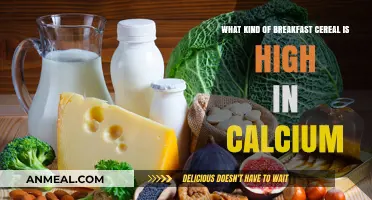 Boost Your Calcium Intake: Top Breakfast Cereals for Stronger Bones