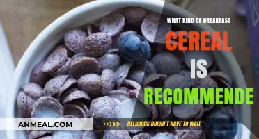 Healthy Breakfast Cereal Choices: Top Recommendations for a Nutritious Start