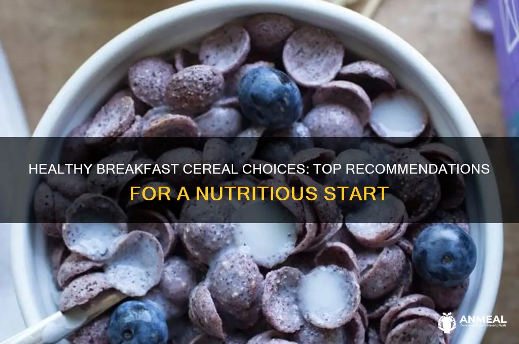 what kind of breakfast cereal is recommended