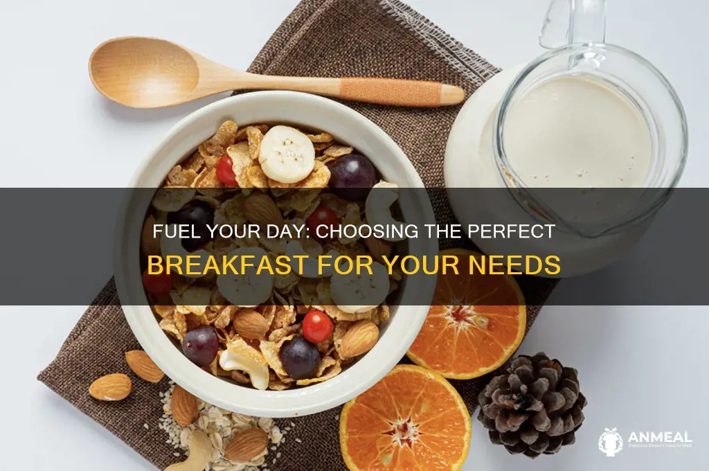 what kind of breakfast do i need