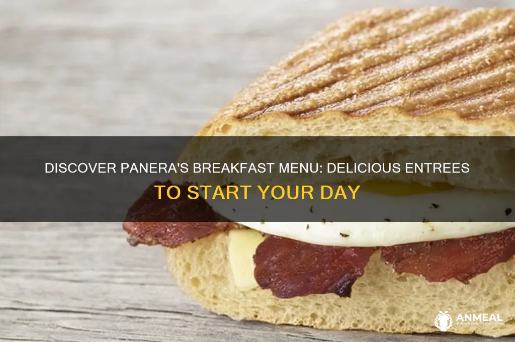 what kind of breakfast entrees does panera have