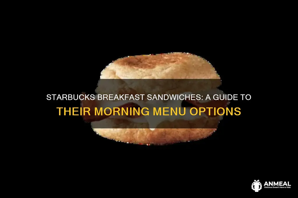 what kind of breakfast sandwiches does starbucks have