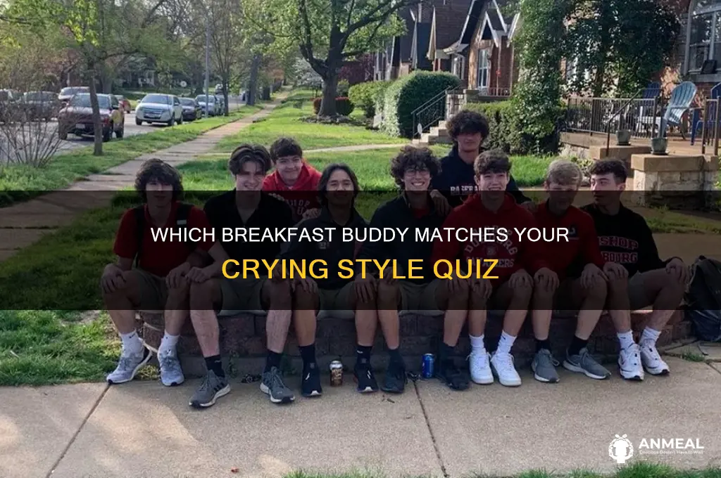 what kind of crying breakfast friend are you