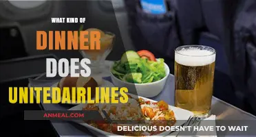 Exploring United Airlines' In-Flight Dinner Options and Culinary Experience