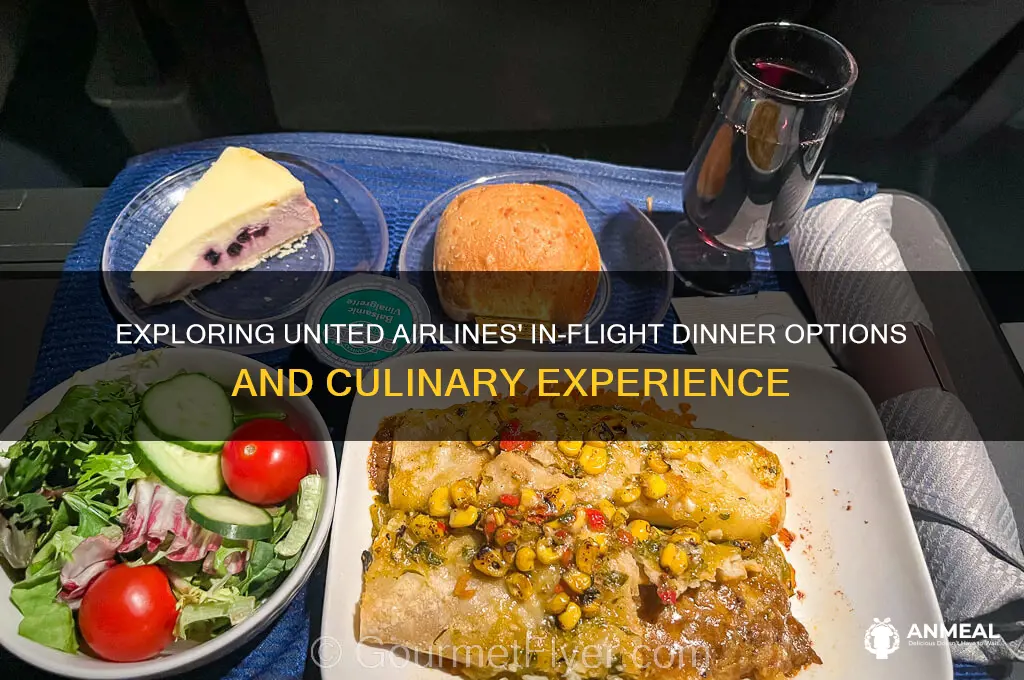 what kind of dinner does unitedairlines
