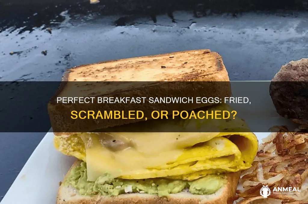 what kind of egg goes on breakfast sandwich