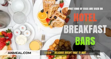 Hotel Breakfast Bars: Unveiling the Types of Eggs Commonly Used