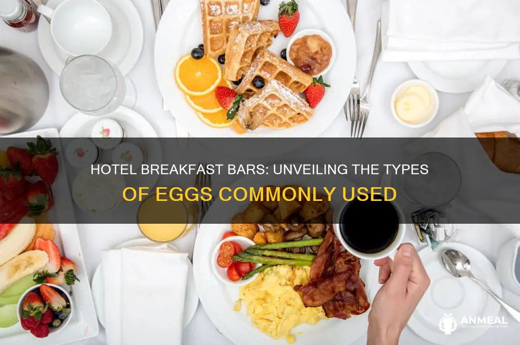 what kind of eggs are used on hotel breakfast bars