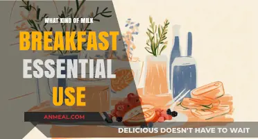 Best Milk Choices for a Nutritious and Energizing Breakfast Essential