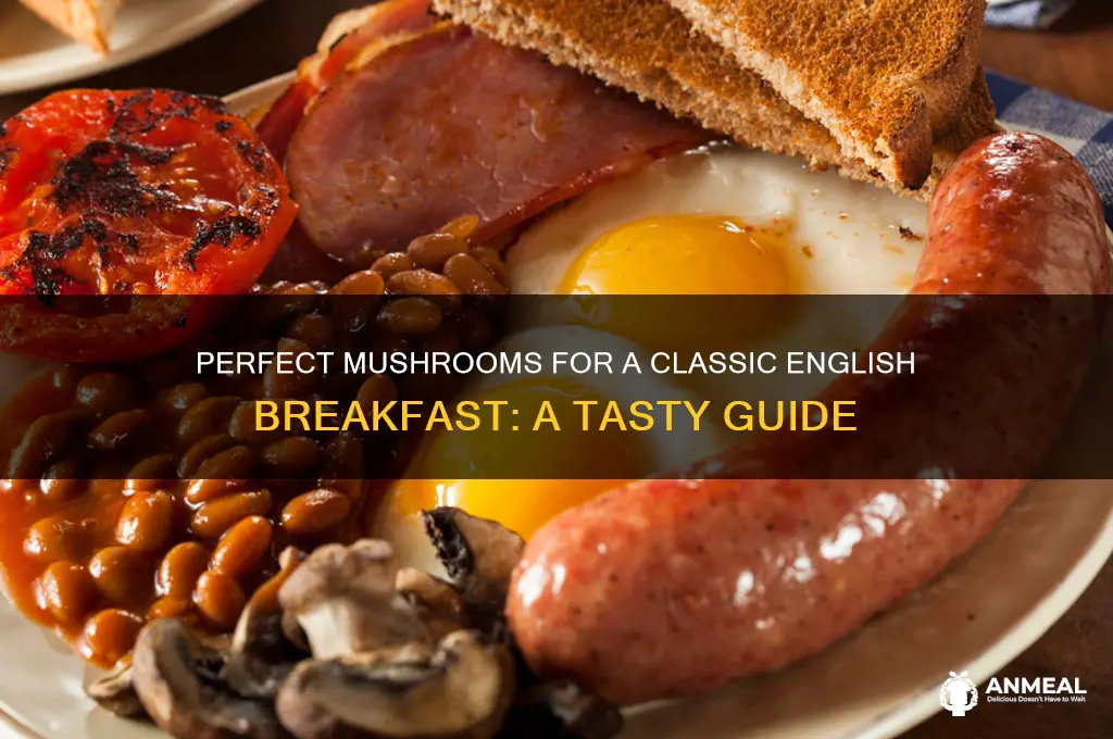 what kind of mushroom for english breakfast