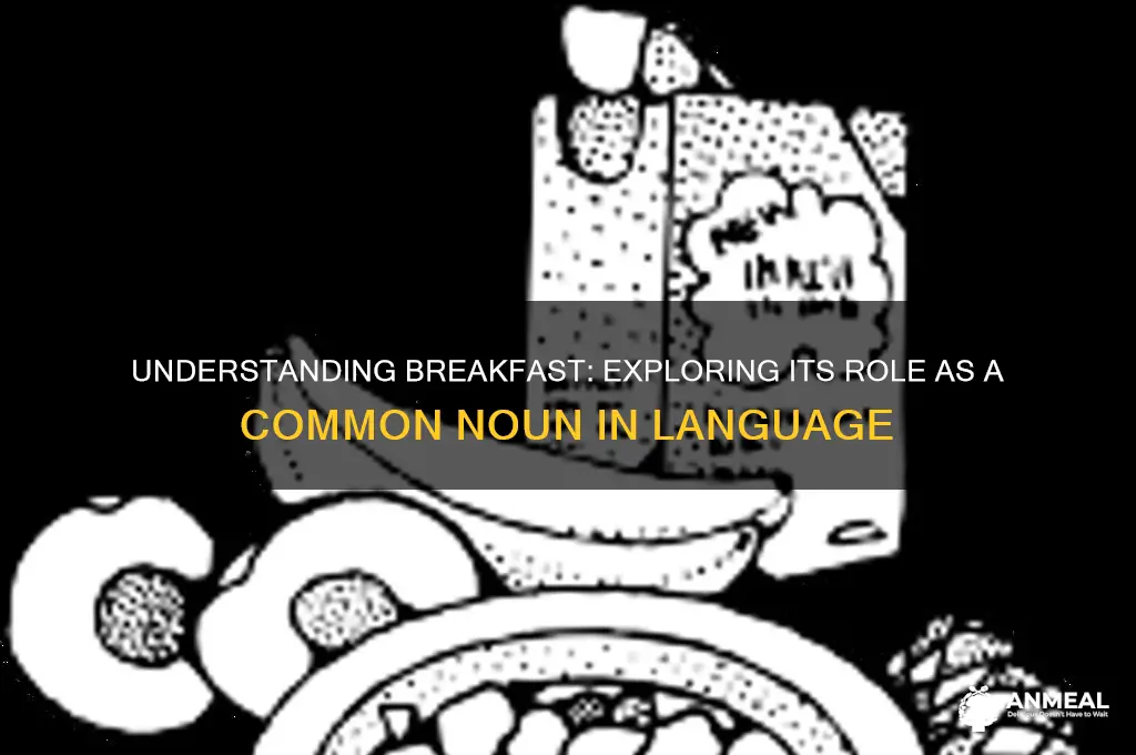 what kind of noun is breakfast
