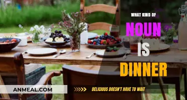 Understanding 'Dinner': Exploring Its Role as a Common Noun in Language