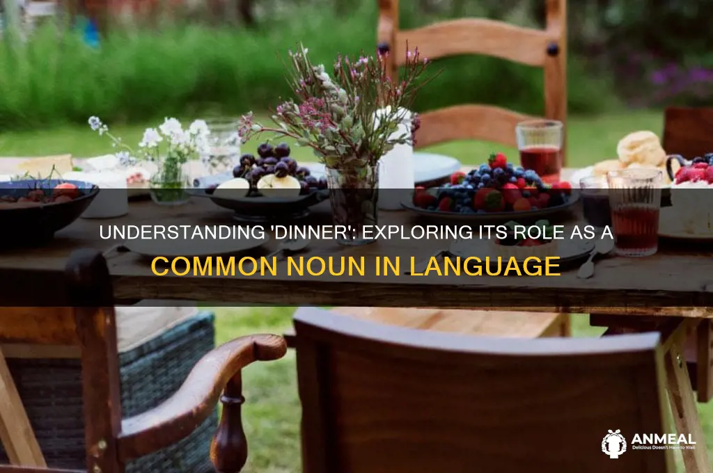 what kind of noun is dinner