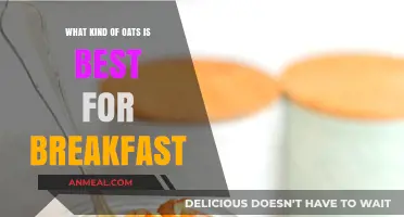 Best Oats for Breakfast: Types, Benefits, and Top Picks