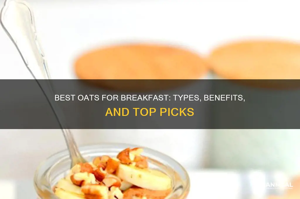 what kind of oats is best for breakfast