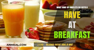 Hotel Breakfast Omelets: Exploring Popular Varieties and Classic Favorites
